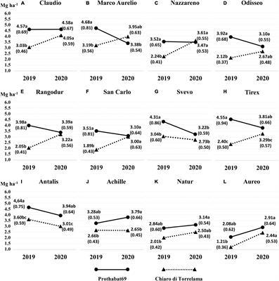 A Comprehensive Approach to Evaluate Durum Wheat–Faba Bean Mixed Crop Performance